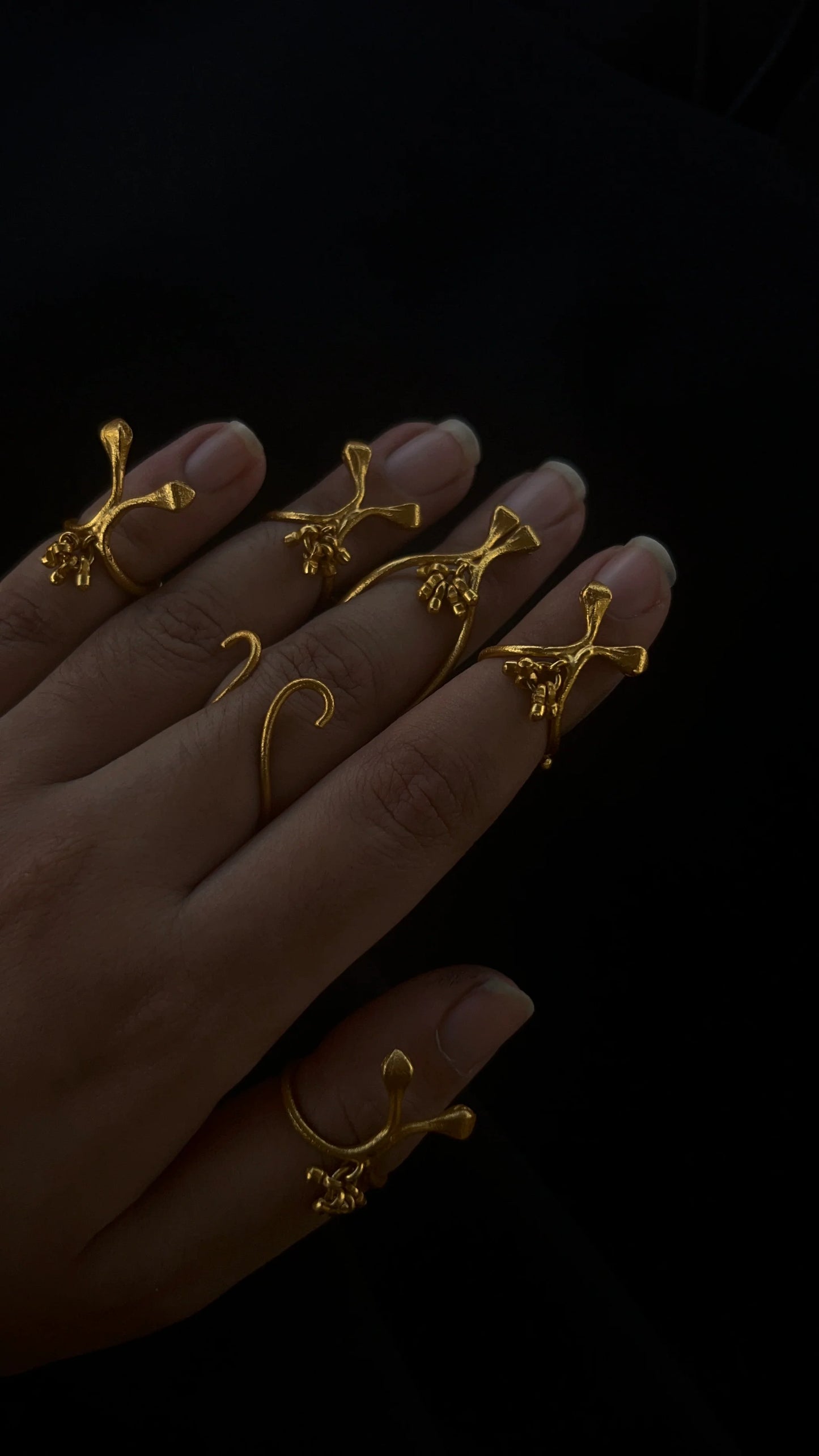 Darvi Ring