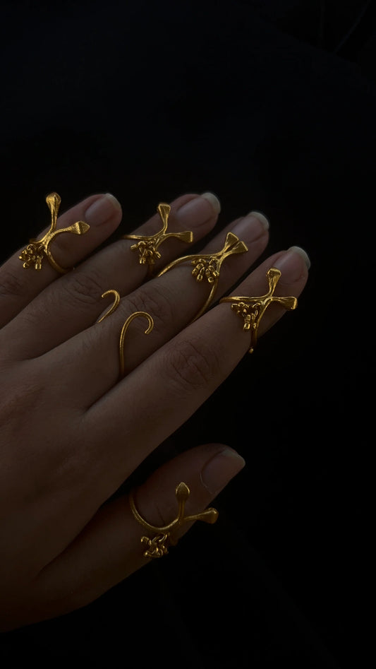 Darvi Ring